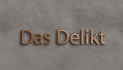 Das Delikt poster2